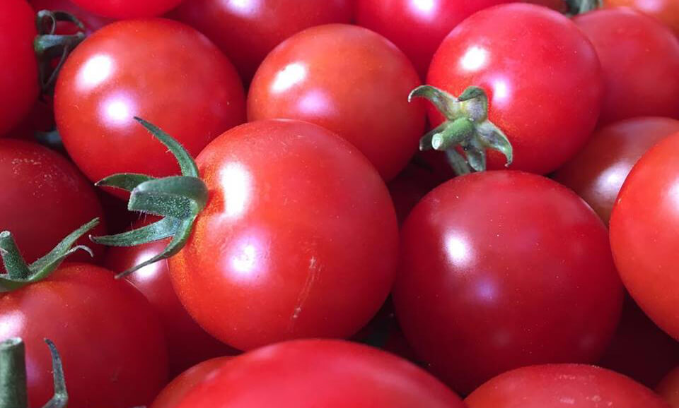 vegBox-tomatoes