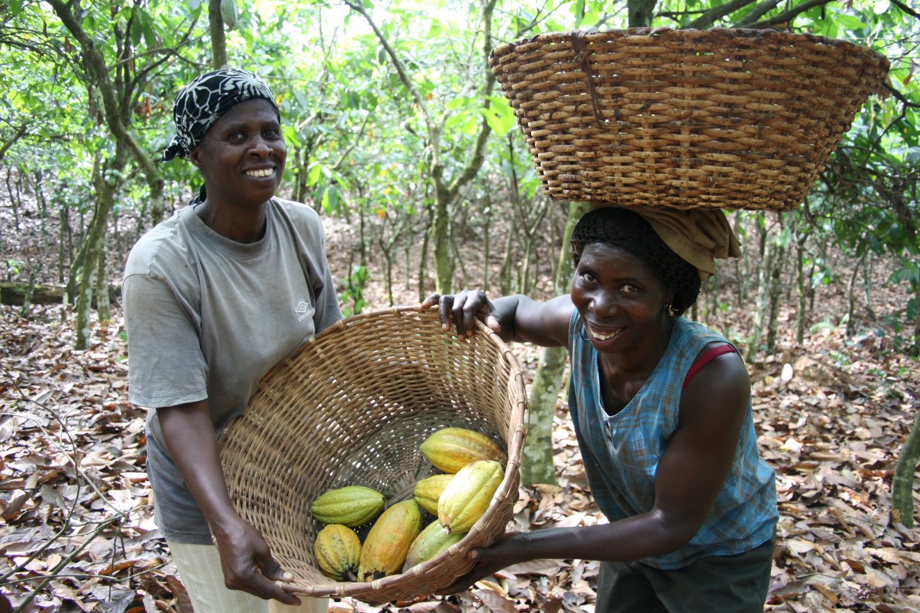 KK women farmers with pods_resized